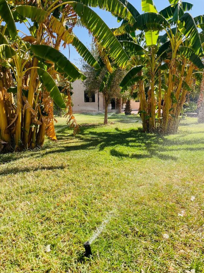 Villa Msholidays Victoria Privatisee Marrakech Marrakesch Exterior foto